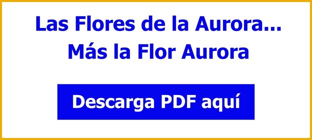 Somos 6