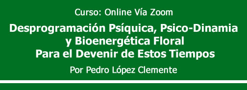 Header Desprogramación Psíquica,

Psico-Dinamia y Bioenergética Floral